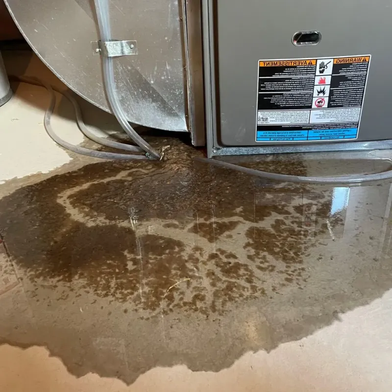 Pipe Burst and Leak Restoration in Upshur County, WV