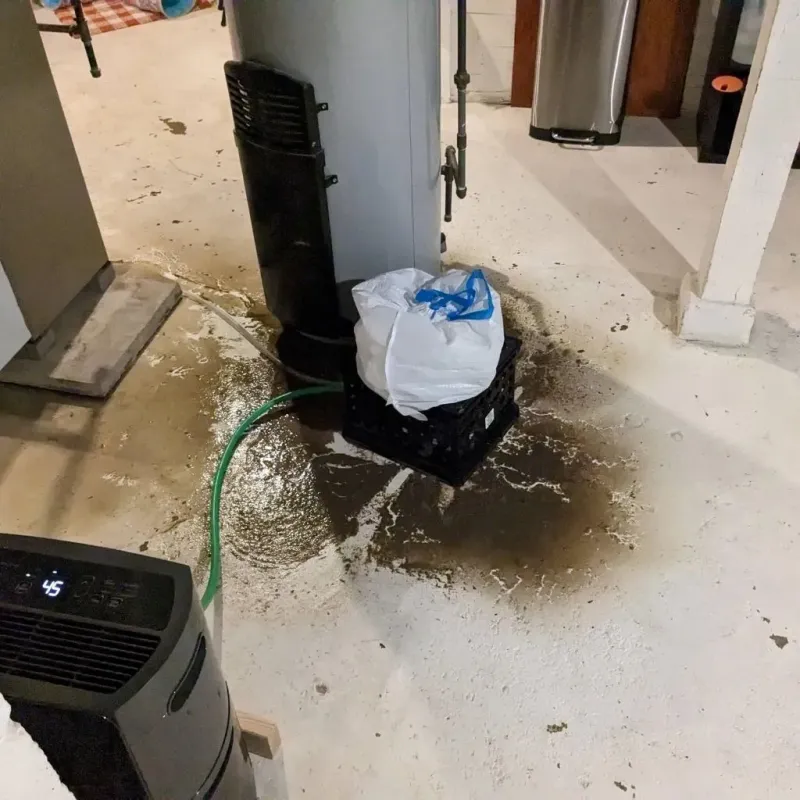 Sewage Backup Cleanup Service in Upshur County, WV